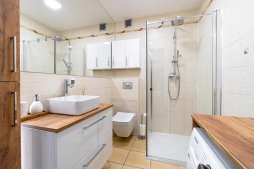 Apartment Centrum Iii